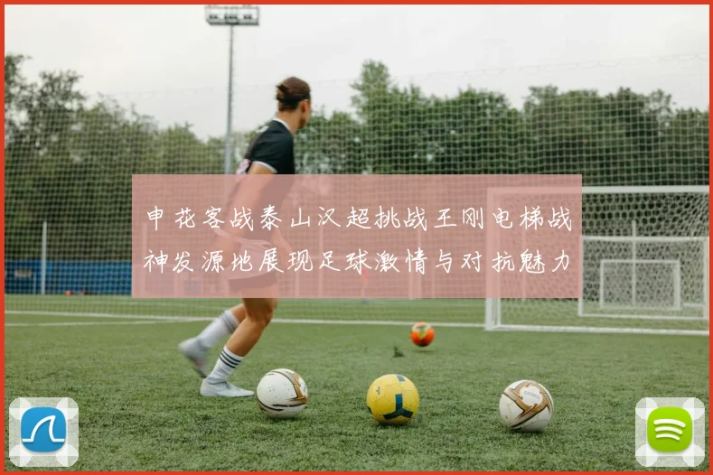 申花客战泰山汉超挑战王刚电梯战神发源地展现足球激情与对抗魅力